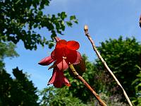 09-06-2007_10-52-05_153