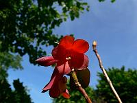 09-06-2007_10-52-28_159