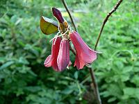 09-06-2007_18-53-53_100