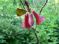 09-06-2007_18-54-13_105