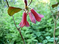 09-06-2007_18-54-25_108