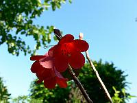10-06-2007_09-08-35_69