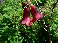 10-06-2007_09-10-11_94
