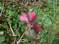 13-06-2007_15-16-56_37