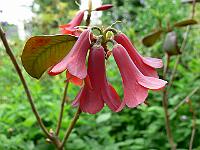 13-06-2007_15-17-39_48