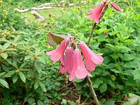 14-06-2007_11-21-57_06