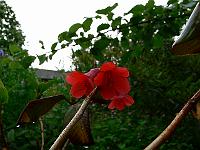 17-06-2007_19-08-05_10