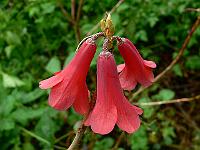 17-06-2007_19-08-37_18