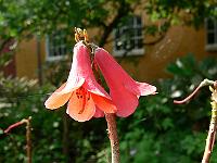 21-06-2007_10-56-07_01