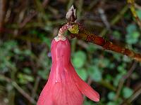 29-05-2007_20-02-13_22