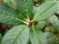10-07-2007_17-45-32_138