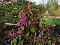 2011-04-26_17-28-47_0187