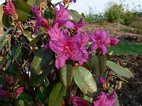 2011-04-26_17-29-10_0193