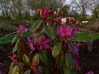 2011-04-27_05-40-53_0091