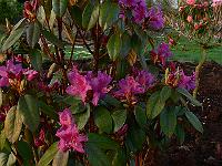 2011-04-27_05-41-06_0094