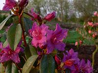 2011-04-27_05-41-18_0099