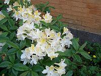 12-06-05kodak_153