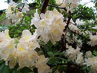 17-06-0kodak_025