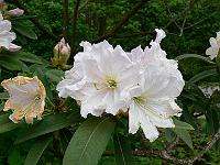 09-06-2006_10-53-53_82