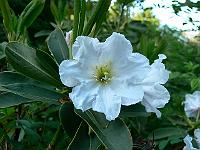 09-06-2007_20-23-38_07