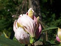 11-06-05kodak_012