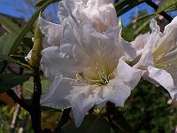 11-06-05kodak_013