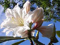 11-06-05kodak_015
