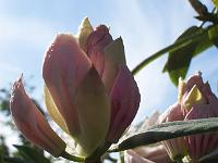 11-06-05kodak_016