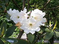 11-06-05kodak_156