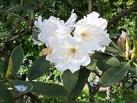 11-06-05kodak_157