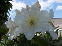 11-06-05kodak_162