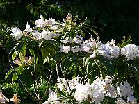 11-06-2006_19-11-02_59