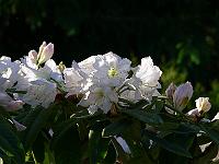 11-06-2006_19-11-11_61