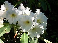 18-06-05kodak_153