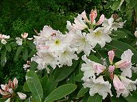 19-06-2006_09-05-18_84