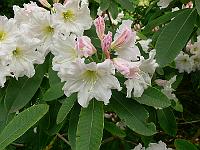 19-06-2006_09-05-23_85