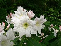 19-06-2006_09-05-42_90