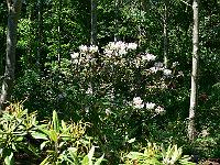2009-06-15_11-52-31_0088