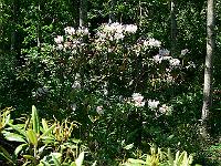 2009-06-15_11-52-44_0091