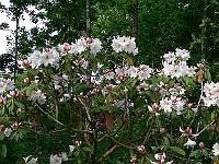 2009-06-16_08-26-20_0005