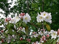 2009-06-16_08-26-46_0012