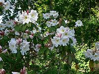 2009-06-17_07-21-49_0004