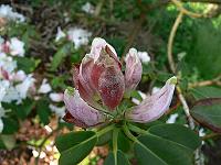 2009-06-17_07-22-47_0016