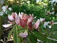 2009-06-17_07-23-10_0019
