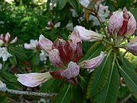 2009-06-17_07-23-22_0022