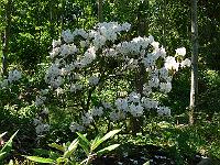 2009-06-23_13-02-04_0023