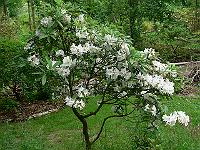 2010-06-26_12-47-20_0018