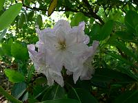 2011-05-19_07-59-30_0042