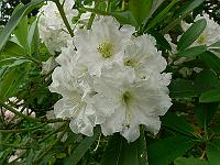 2011-06-08_08-51-45_0063