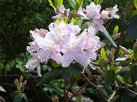 12-05-05kodak_191